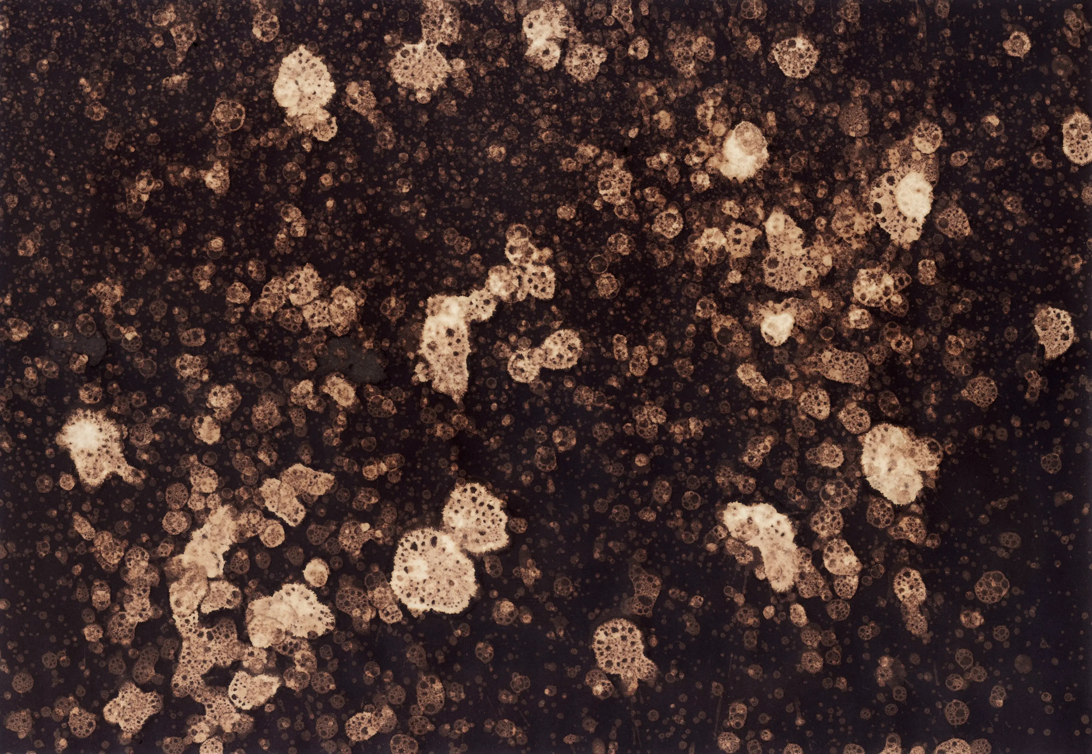 Leke Texture Paketi